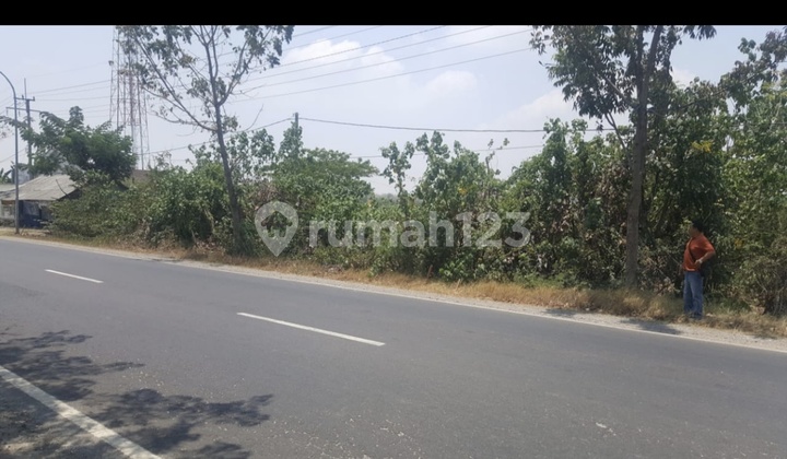 Tanah Strategis Dekat Tol Manyar Gresik. 
