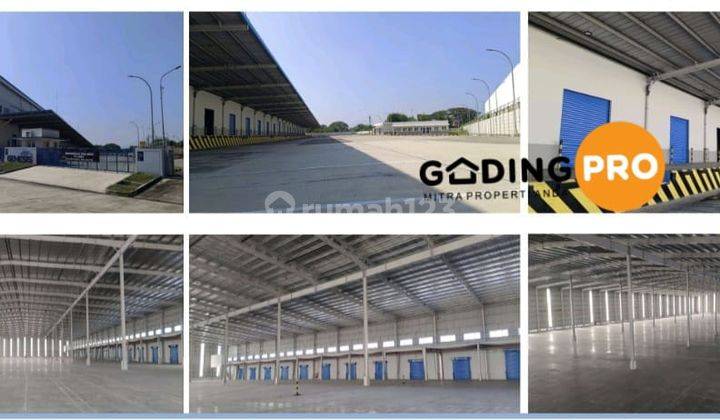 Di Sewakan Gudang di Cikarang 9 Modern Warehouse Grade 2