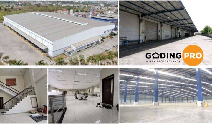 Di Sewakan Gudang di Cikarang 6 Modern Warehouse Grade 1