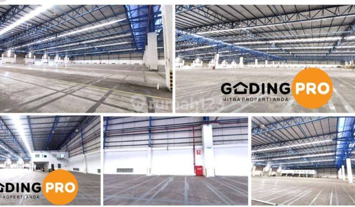 Di Sewakan Gudang di Cikarang 6 Modern Warehouse Grade 2