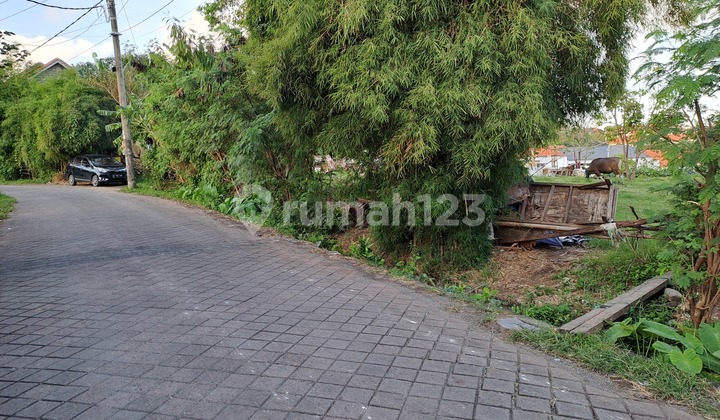 Tanah di Jl Raya Sempol Canggu cocok dibangun Kompleks Villa
