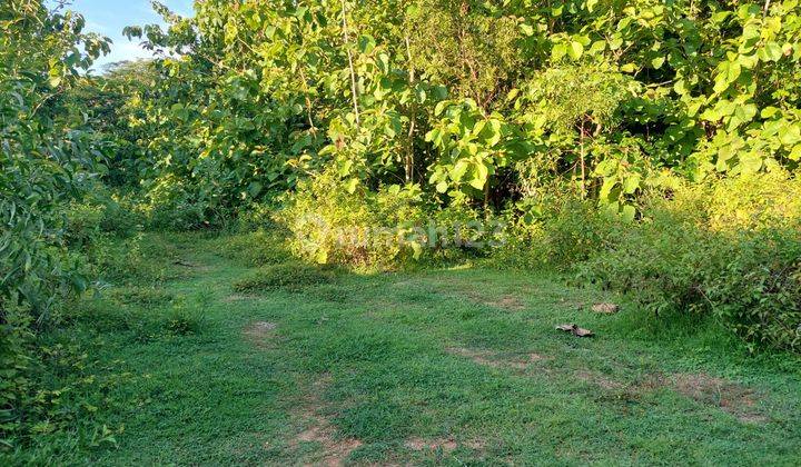 Land on Jalan Melasti Ungasan Badung is suitable for building a villa 2