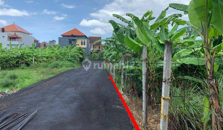 The land on Jalan Trengguli Penatih Denpasar is suitable for building a boarding house 2