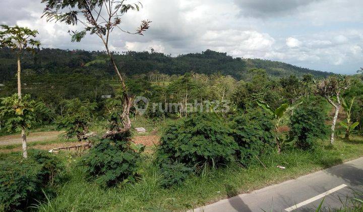 Tanah Di Banjar Bukian Plaga Petang Badung Cocok Investasi Lahan, 2