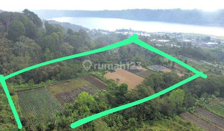 Tanah Danau Buyan Pancasari Sukasada Buleleng Cocok Utk Resort 2