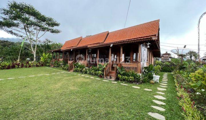 Buyan Pancasari Buleleng Lake Area Villa is Suitable for Investment 1