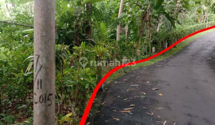 Tanah Di Jl Puri Dajuma Pekutatan Jembarana Cocok Utk Villa 1