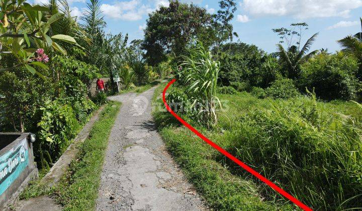 Nyalian Klungkung Village Land Suitable For Future Investment 2