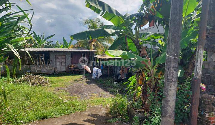 Tanah Jalan Kresna Darmasaba Badung Cocok Dibangun Rumah Tinggal 2