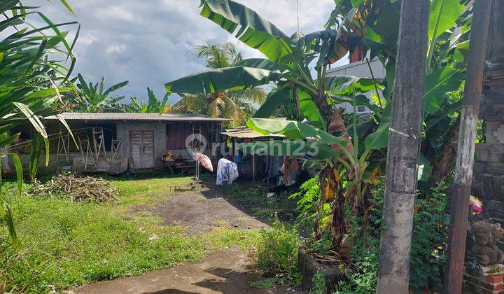 Land on Jalan Kresna Darmasaba Badung is suitable for building a house 1