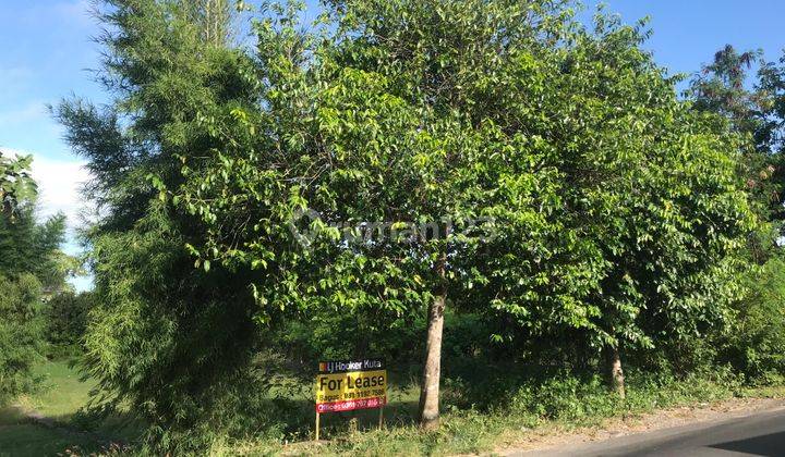 Land on Jl Raya Goa Gong Ungasan Badung is suitable for a modern shop 1