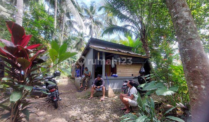 Land on Jl Br Gunung Siku Blayu Marga is suitable for building a villa 1