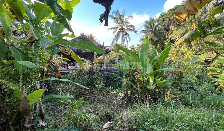 The land on Jl Shalya Blayu Marga is suitable for building a villa complex 2