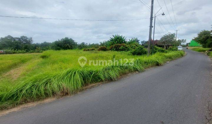 Tanah Jl A Yani Kediri Tabanan Cocok Utk Gudang 1