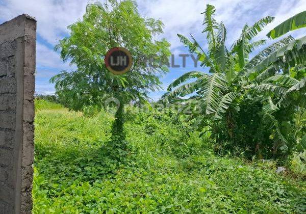 1,5 Are Land In Dalung, Close to Canggu and Gatot Subroto Barat, Beautiful Ricefield View, Suitable for Villa 2