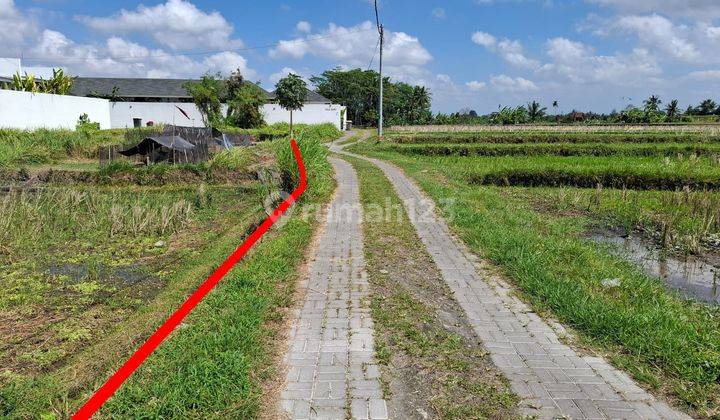 Land on Jl Singapadu Sukawati Gianyar is suitable for building a villa 1