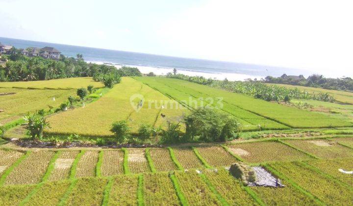 Tanah Jalan Pantai Yeh Gangga Tabanan Cocok Dibangun Villa 2