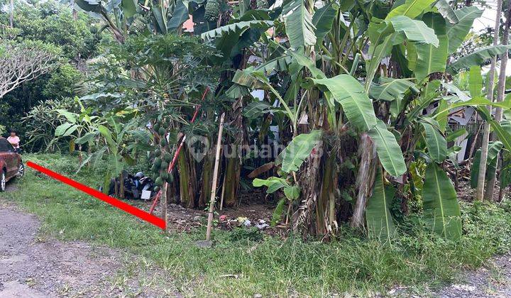 Tanah Jl Tulikup Gianyar Cocok Utk Rumah Keluarga Kecil 2