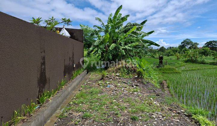 Tanah di Dalung Permai View Sawah Cocok Dibangun Villa 2