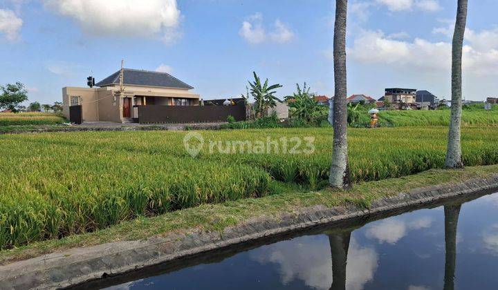 Villa Jalan Padang Tegal Dalung di Tepi Sawah  1