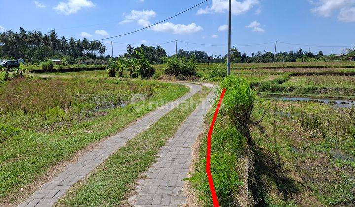 Land on Jl Singapadu Sukawati Gianyar is suitable for building a villa 2