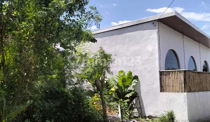 Land for Rent on Jl Raya Canggu Suitable for Building a Villa