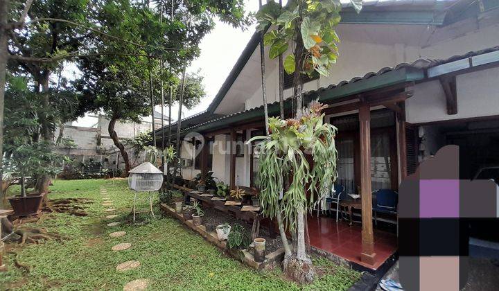 Rumah 1 Lantai di Komplek Citrus, jeruk purut 1