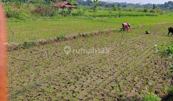 Dijual Tanah 9.2 Ha Di Lebak Banten      2