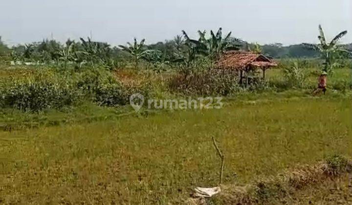 Dijual Tanah 9.2 Ha Di Lebak Banten      2