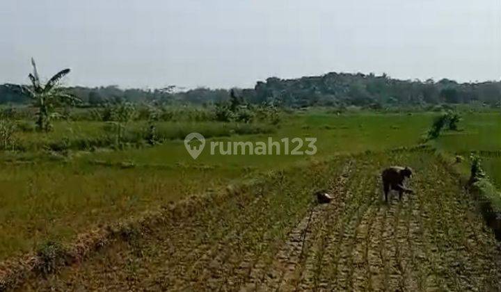 Dijual Tanah 9.2 Ha Di Lebak Banten      1