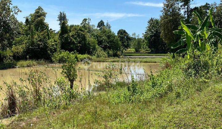 Tanah Luas Taktakan Serang Cocok Utk Perumahan 2