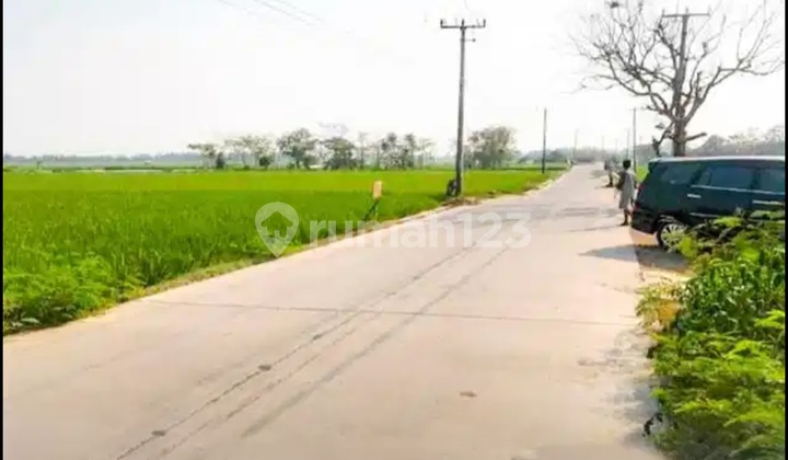 For Sale, Large Land Ready for Investment in West Karawang For Sale, Large Land Ready for Investment in West Karawang