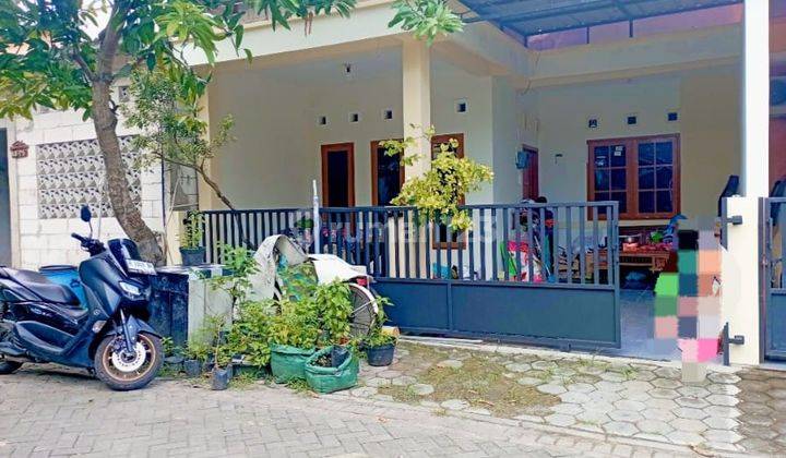 Rumah Murah Satu Lantai Dekat Kampus Undip Tembalang  1