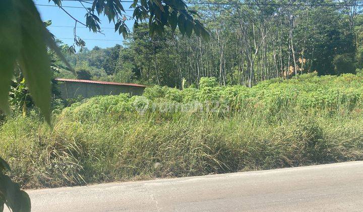 Tanah Luas Akses Jalan Lebar Daerah Beiji Ungaran  1