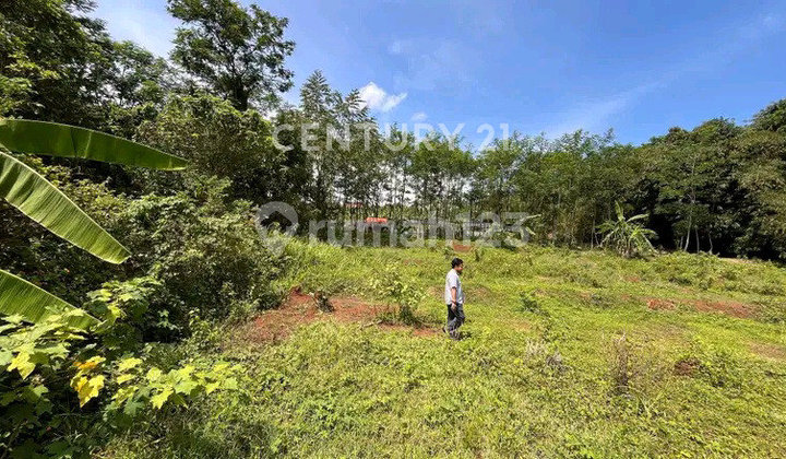 Dijual Tanah Lahan Industri Di Kawasan Strategis Pekalongan