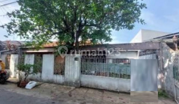 Rumah Lama Halaman Luas Aman Banjir Petukangan Utara Jaksel