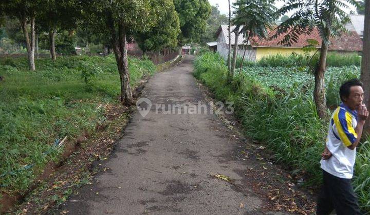 Tanah kosong di jual di lembang, dekat pasar lembang bandung 1