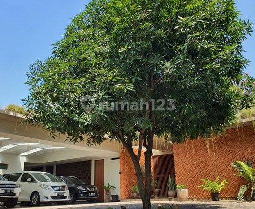 Rumah Dijual Mewah Bergaya Villa Modern Tropis Pejaten Jaksel 1