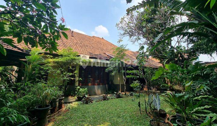 Rumah Mewah 95 Milyar Perpaduan Kolonial Dan Etnik Bali Menteng Jakarta Pusat 2