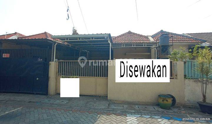 Dikontrakan Rumah Di Lebak Rejo Kondisi Siap Huni Dekat Unair C 1