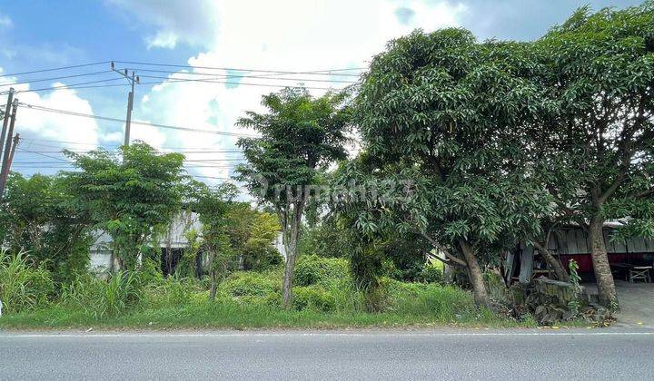 Tanah 2,5ha SHM  di Jl. Morowudi Cerme Gresik Hanya 590rb/m2 1