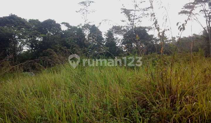 Tanah Bogor Zona Hunian Siap Bangun Perumahan - Investasi Bagus