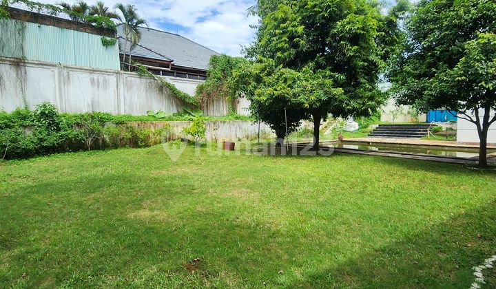 Rumah Tua Hitung Tanah Luas 6400 Di Kemang + Harga Njop