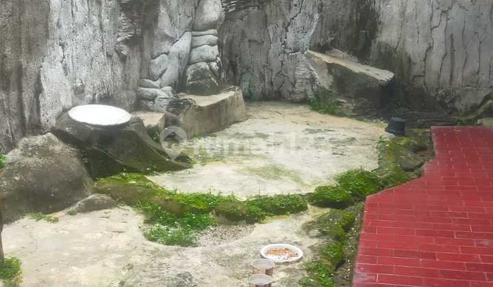 Tanah Dan Bangunan Di Kramat Jakarta Pusat Luas 250 Tanah Dan Bangunan Di Kramat Jakarta Pusat Luas 250