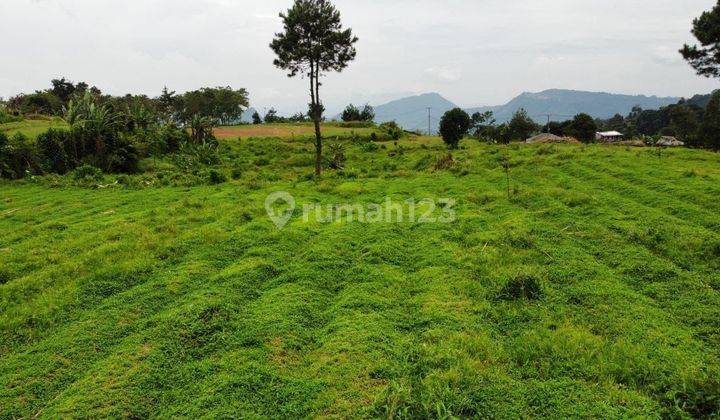 Tanah Shm Dekat Wisata Situ Rawa Gede Puncak Bogor  2