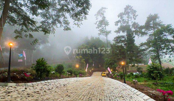 Tanah View Gunung Berkabut Puncak  2