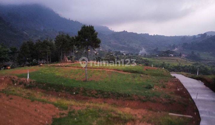 Kavling View Danau Puncak 2 Bogor  2