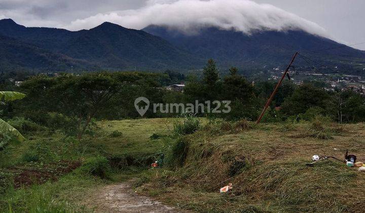 Tanah Shm 1000 Mdpl Dekat Jalan Raya Puncak  2