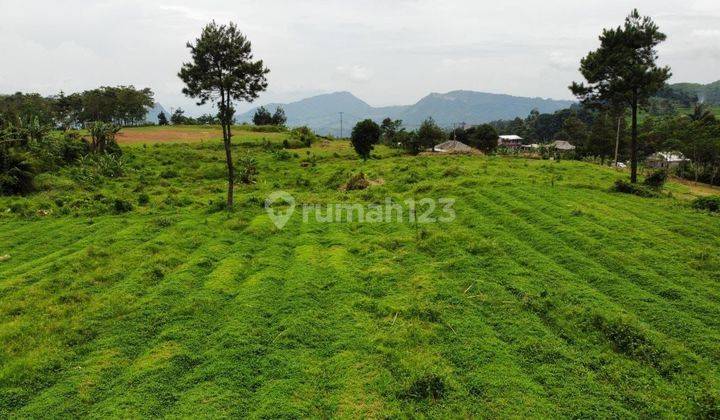 Tanah Shm Dekat Wisata Situ Rawa Gede Puncak Bogor  1