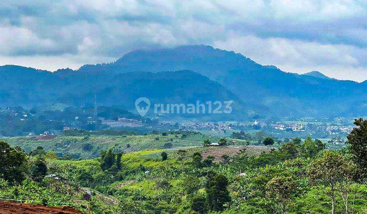 Kavling Hamparan Bunga Cipanas Puncak  1